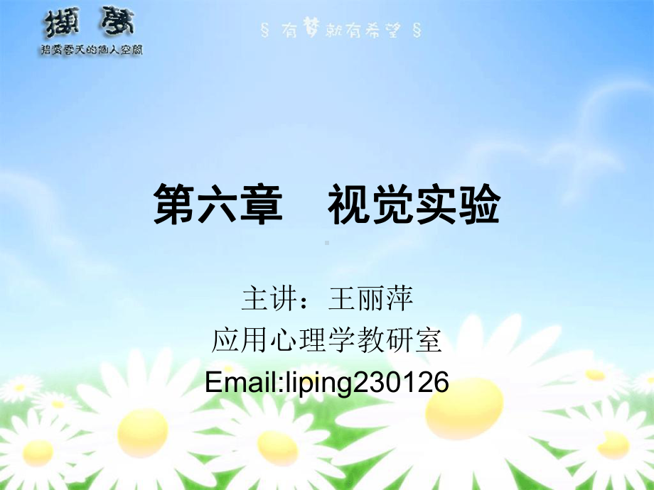 第六章视觉实验-课件.ppt_第1页