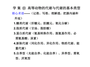 高等动物的代谢与代谢的基本类型讲解课件.ppt