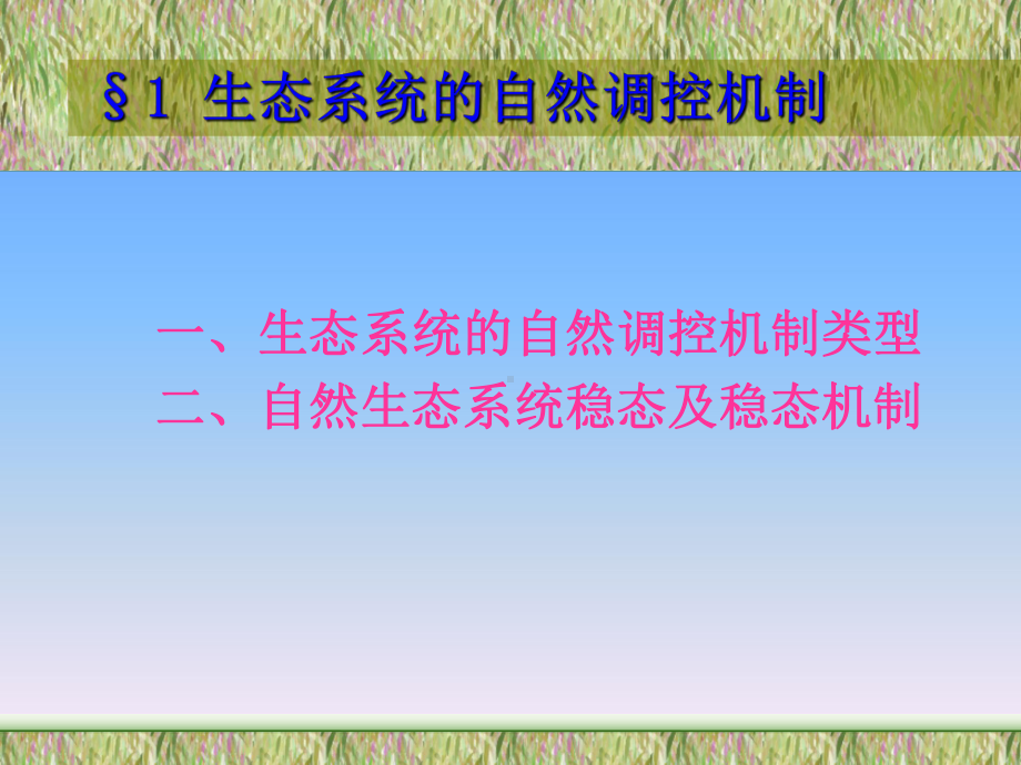 第九章农业生态系统调节与控制-课件.ppt_第3页