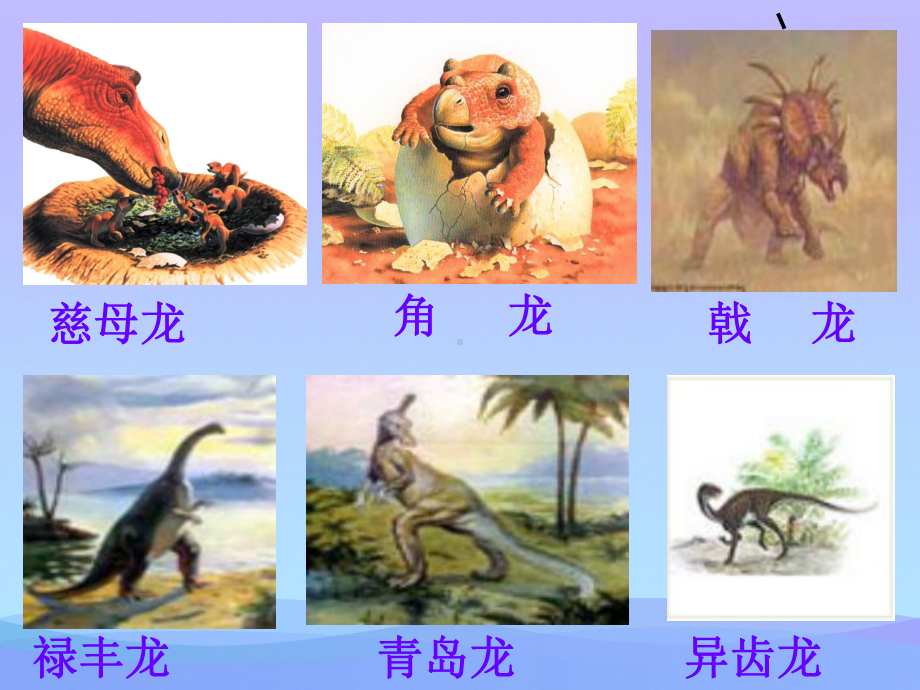 飞向蓝天的恐龙优秀课件.ppt_第3页