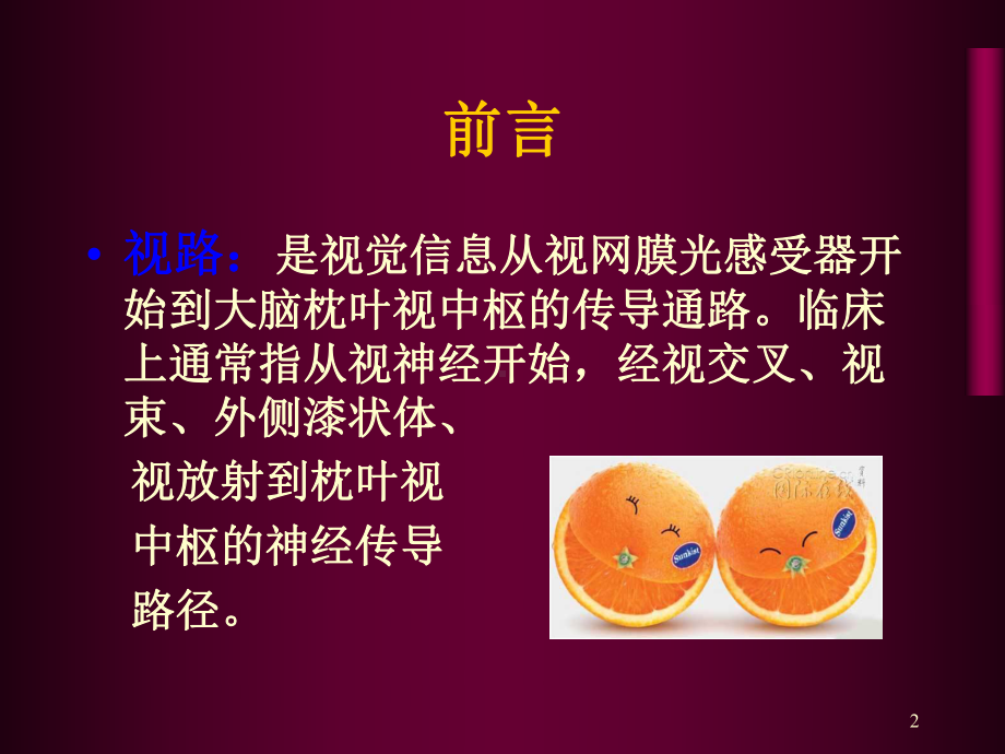 第十五章视神经及视路疾病课件.ppt_第2页