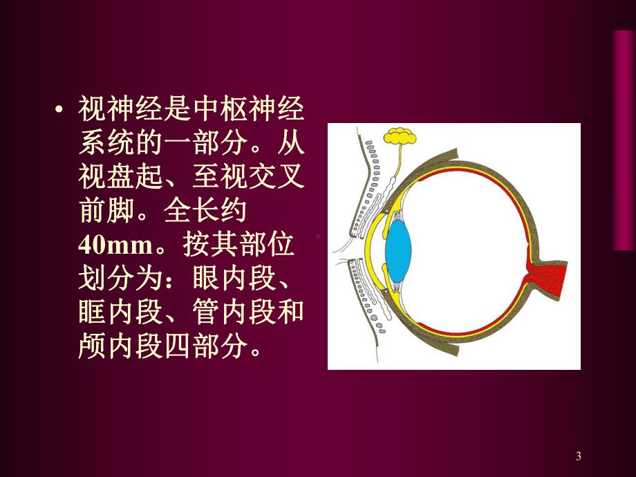 第十五章视神经及视路疾病课件.ppt_第3页