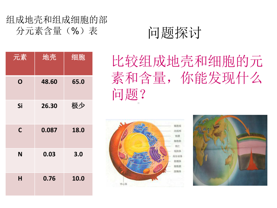 细胞中的元素和化合物35-优秀课件.ppt_第2页