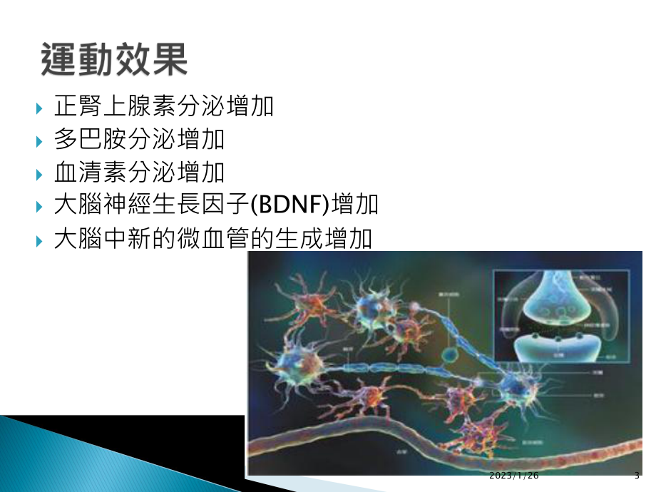 运动改造大脑教学课件.ppt_第3页