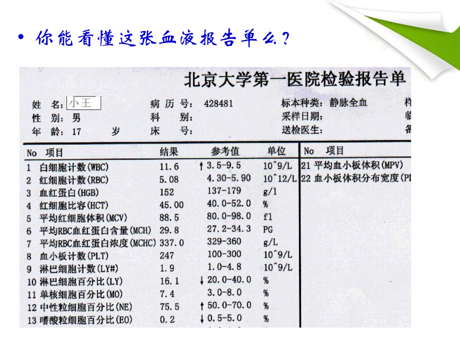 血小板红细胞白细胞课件.ppt_第3页