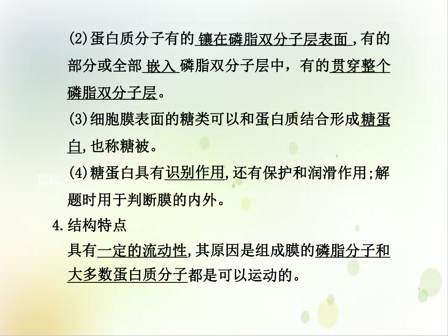 细胞的结构和功能细胞膜和细胞核示范课件.ppt_第2页