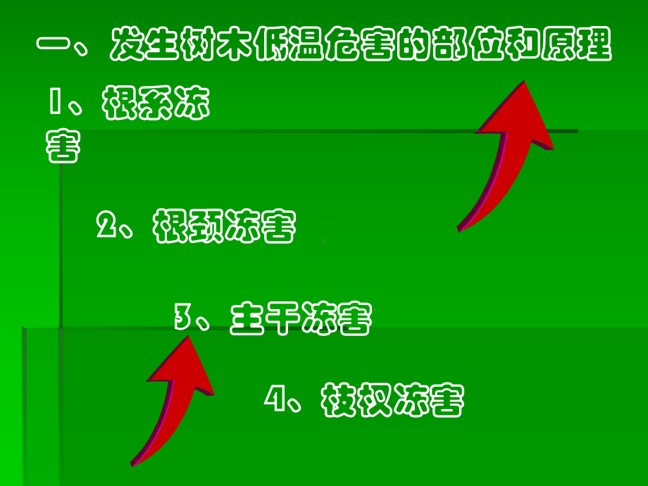 绿化植物防冻保暖措施课件.ppt_第2页