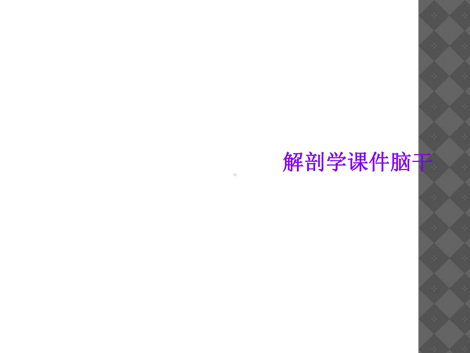 解剖学课件脑干.ppt_第1页