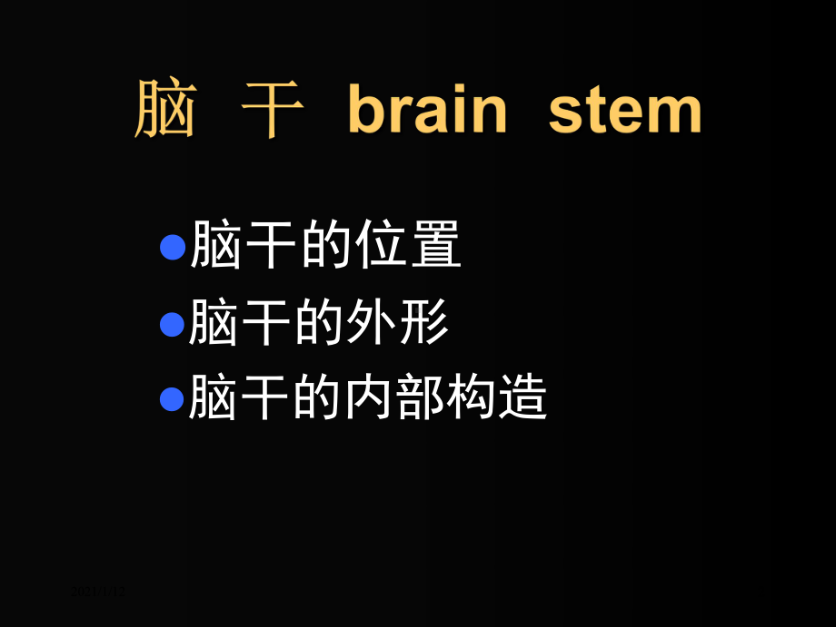 解剖学课件脑干.ppt_第2页