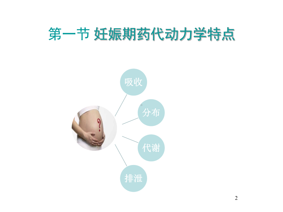 老年人、妊娠期、儿童合理用药课件.ppt_第2页