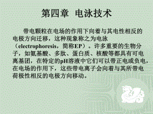 第四章电泳技术课件.ppt