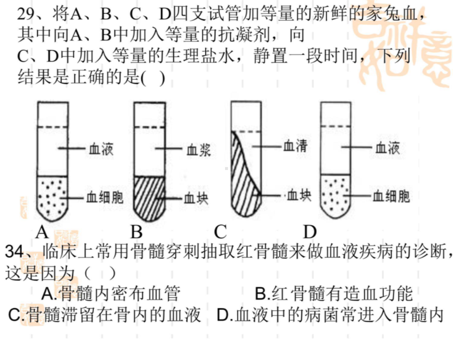 第十二讲神经课件.ppt_第2页