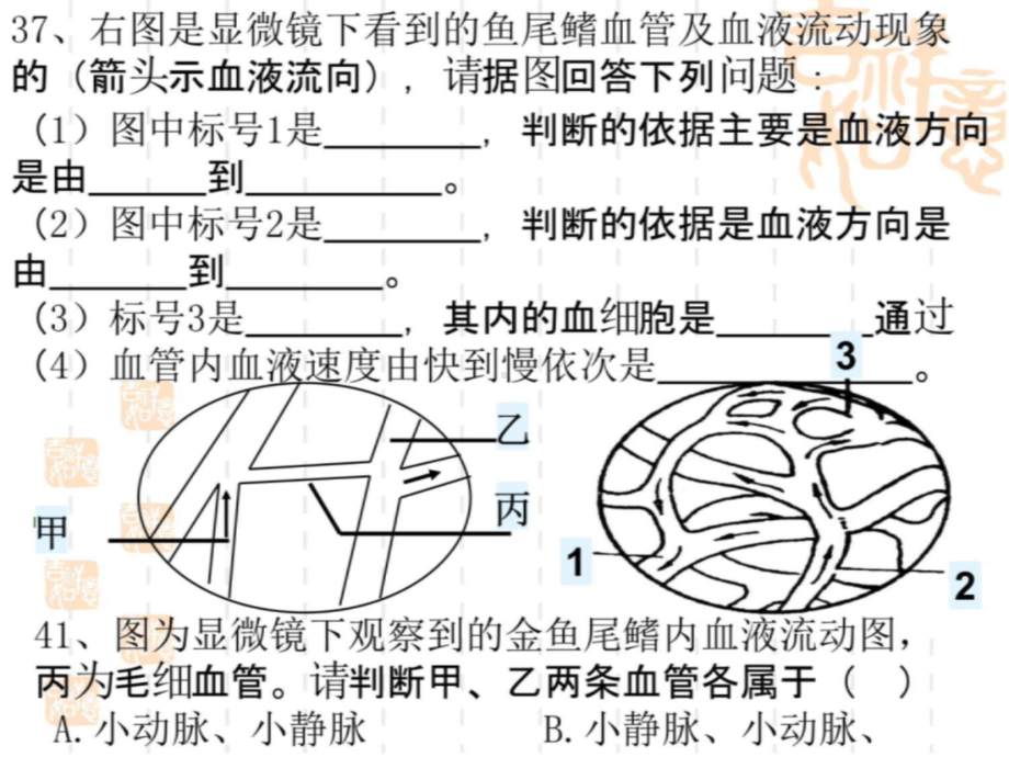 第十二讲神经课件.ppt_第3页