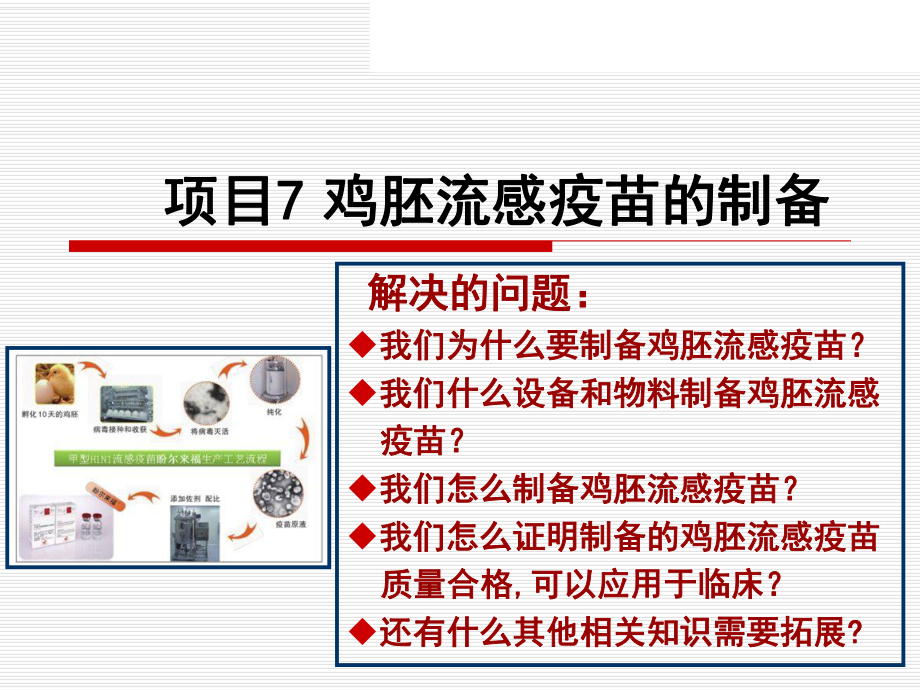 鸡胚流感疫苗的制备课件.ppt_第1页