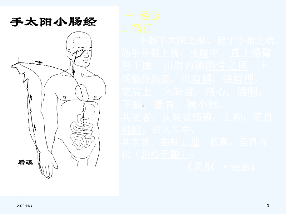 第八章手太阳经络与腧穴课件.ppt_第3页