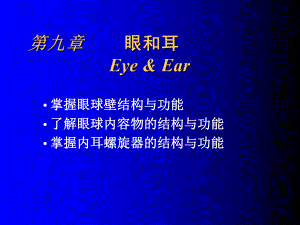 第九章感觉器官-课件.ppt