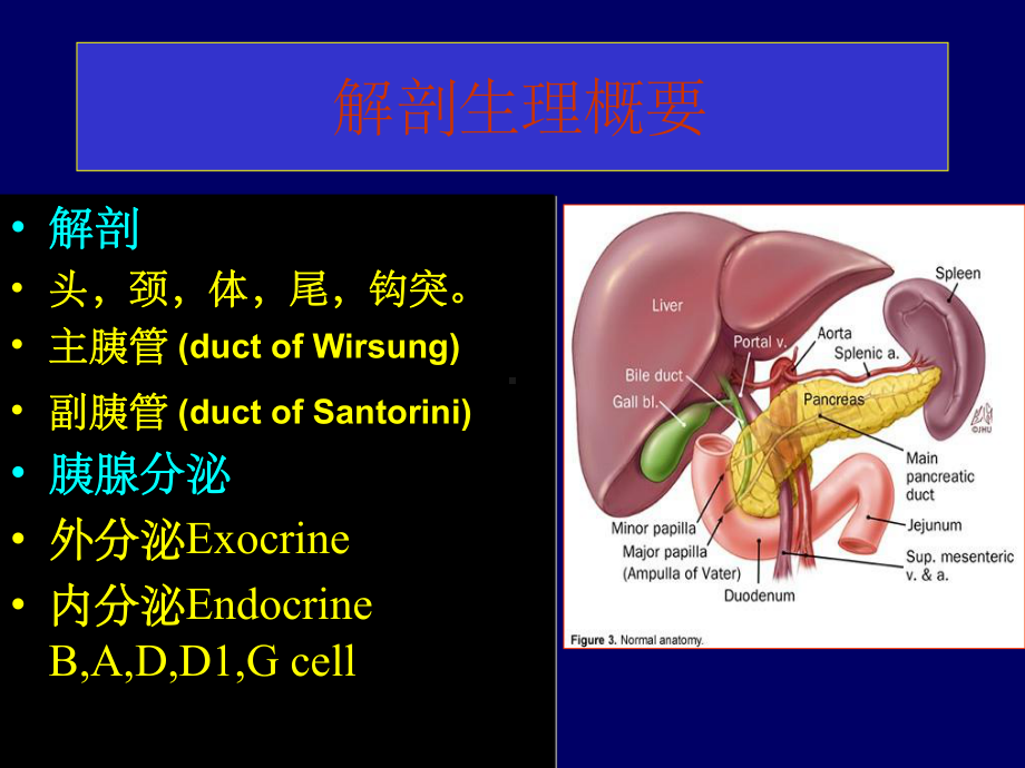 胰腺疾病(英文)课件.ppt_第2页