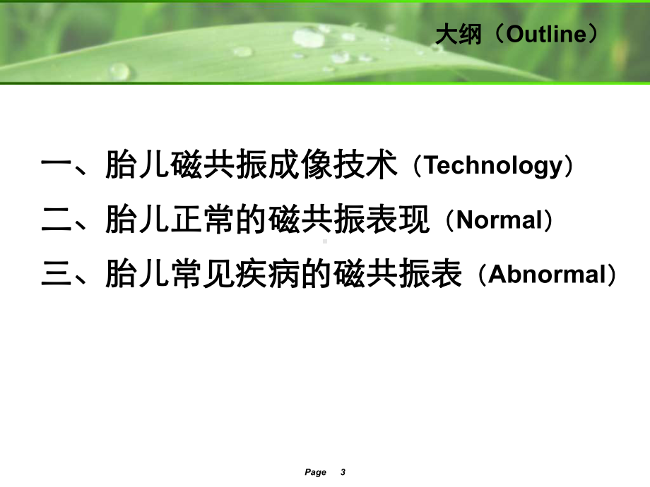 胎儿磁共振成像课件.ppt_第3页