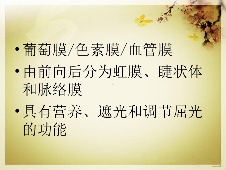 葡萄膜病课件.ppt_第2页