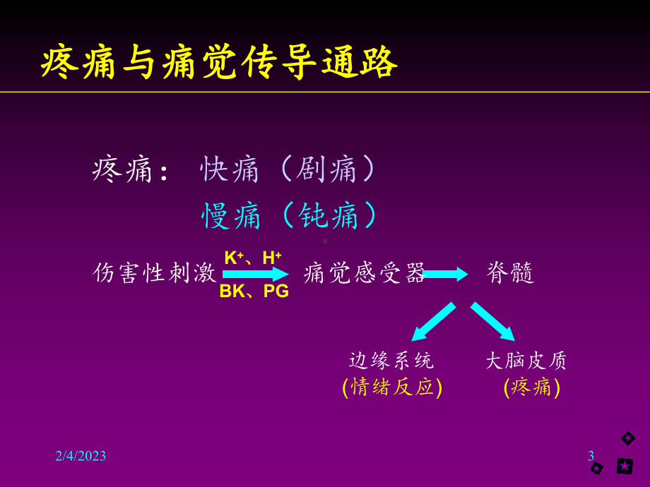 第四章镇痛药解析课件.ppt_第3页