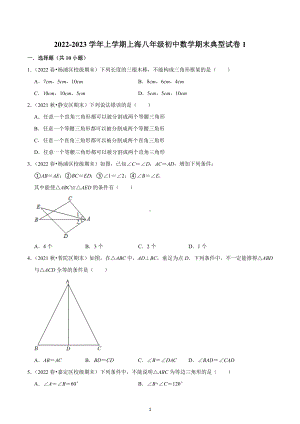 上海市2022-2023学年八年级上学期数学期末典型试卷1.docx