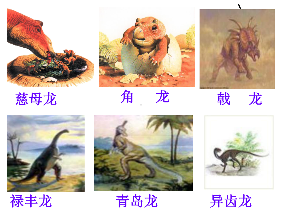 飞向蓝天的恐龙全面版课件.ppt_第3页