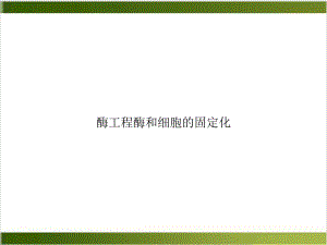 酶工程酶和细胞的固定化培训课件.ppt