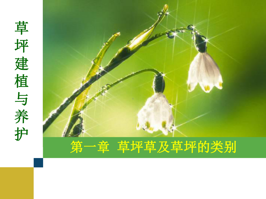 草坪建植与养护-第一章课件.ppt_第1页