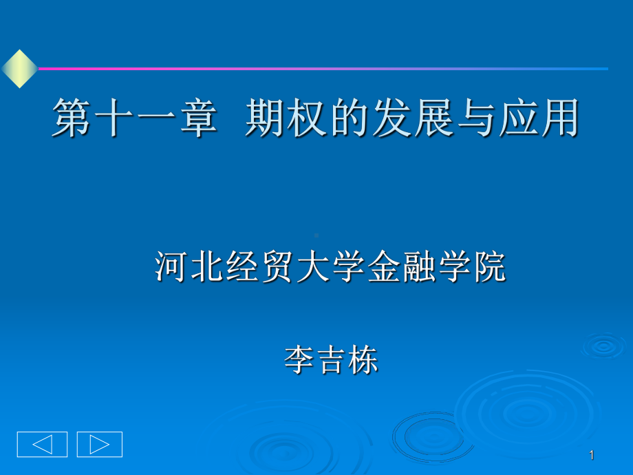 金融工程-第十一章课件.ppt_第1页