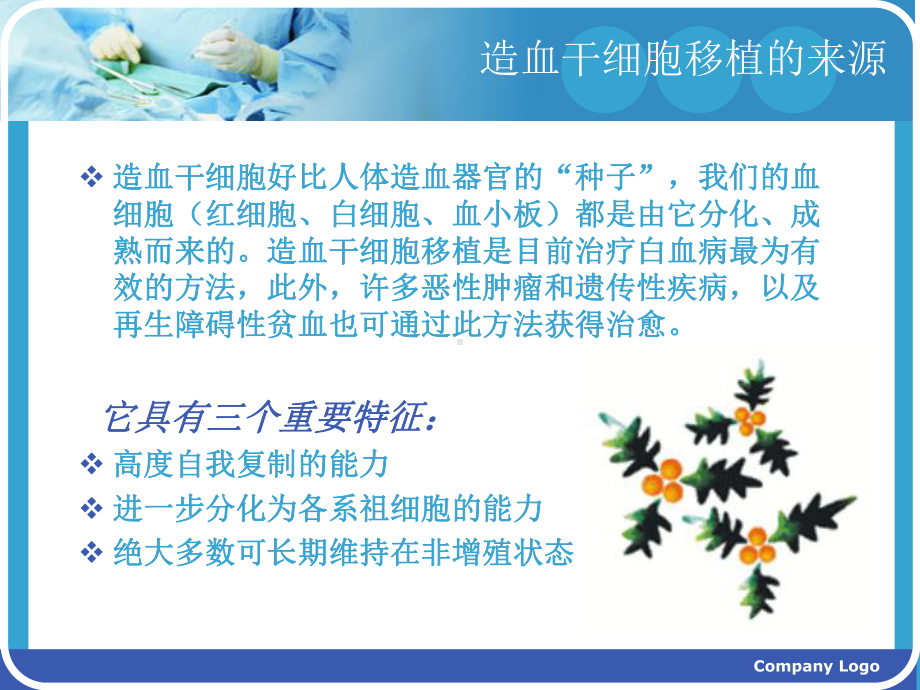 造血干细胞移植护-课件.ppt_第3页