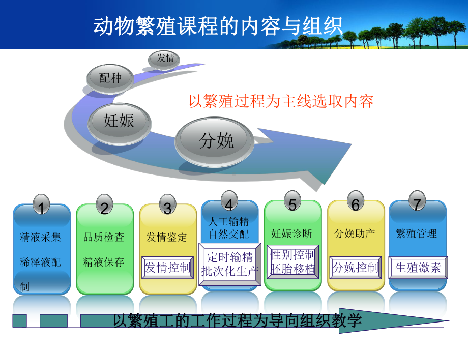 采精与精液品质检查课件.pptx_第2页