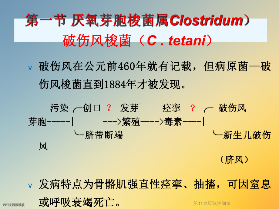 第11章厌氧性细菌课件.ppt_第3页