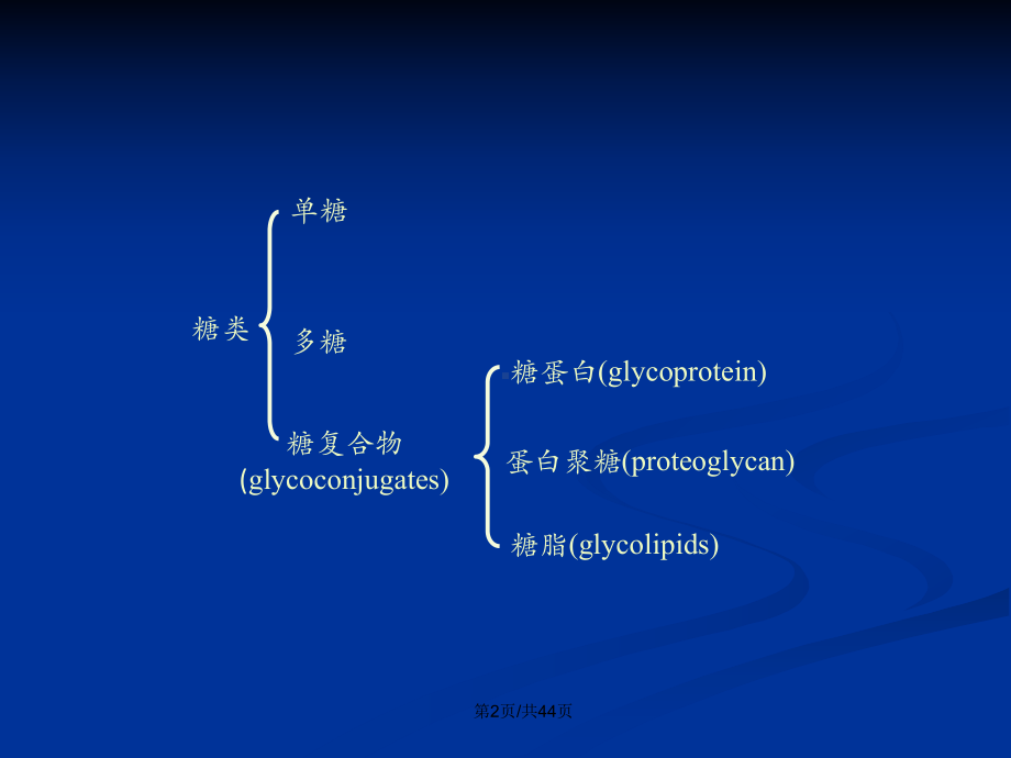 聚糖的结构与功能教案课件.pptx_第3页