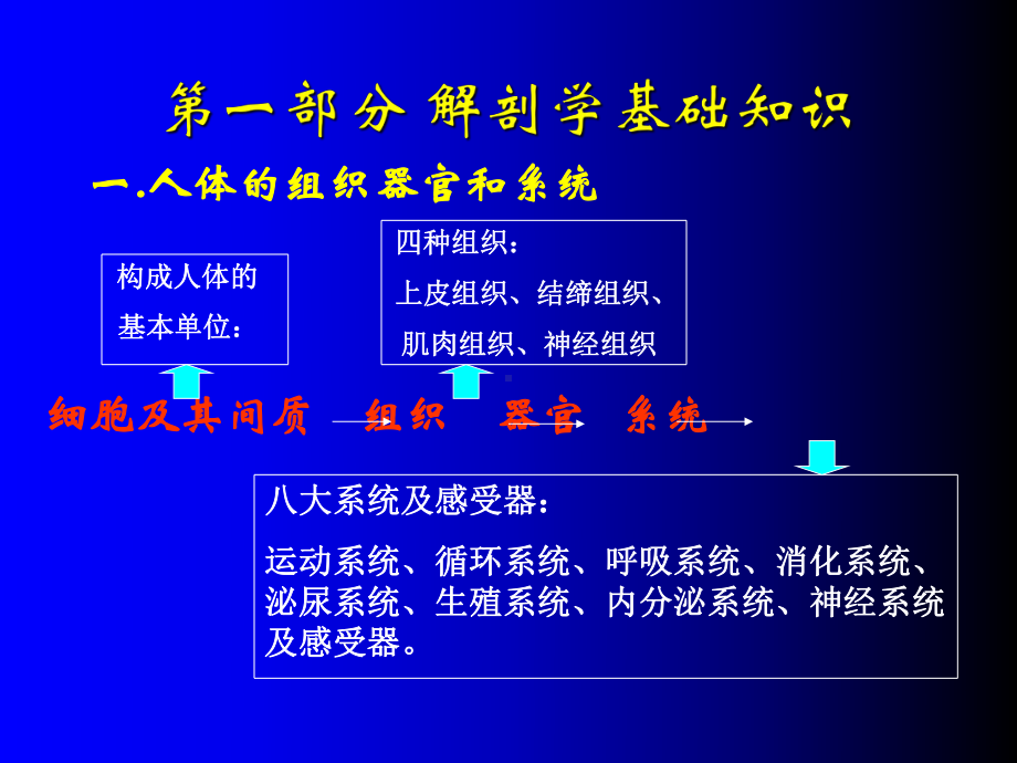 颈椎病基本知识课件.ppt_第2页