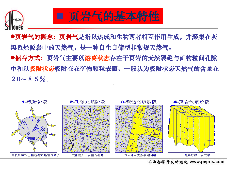 课件-页岩气开采现状及关键技术.ppt_第3页