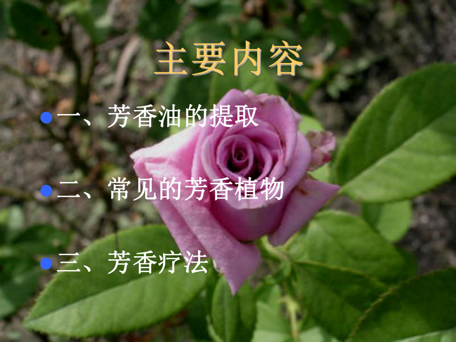 芳香植物与芳香疗法讲解课件.ppt_第2页