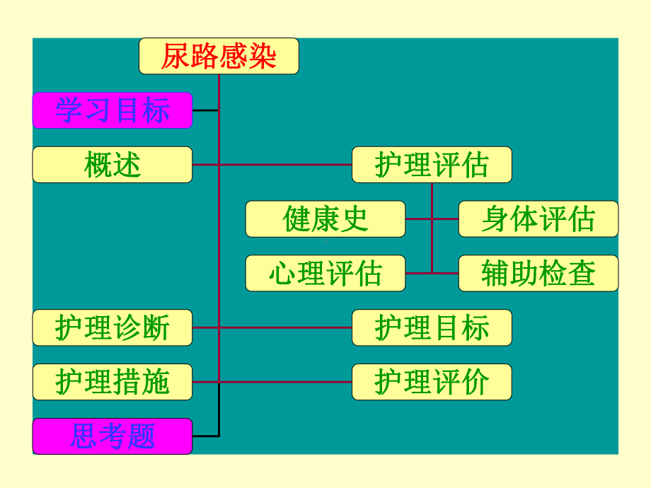 第一节-尿路感染病人的护理课件.ppt_第2页