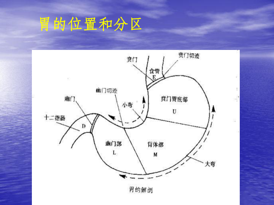 胃十二指肠溃疡的外科治疗-外科学课件.ppt_第3页