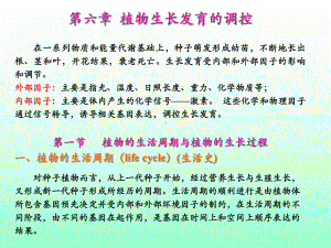 第六章-植物的生长发育及其调控课件.ppt