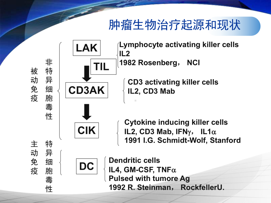 细胞免疫治疗医学课件-.ppt_第3页