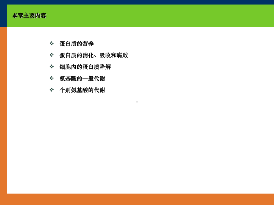 第9章蛋白质氨基酸分解代谢课件.ppt_第2页