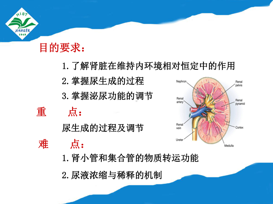 第十章-新尿的生成和排出-动物生理学课件.ppt_第3页