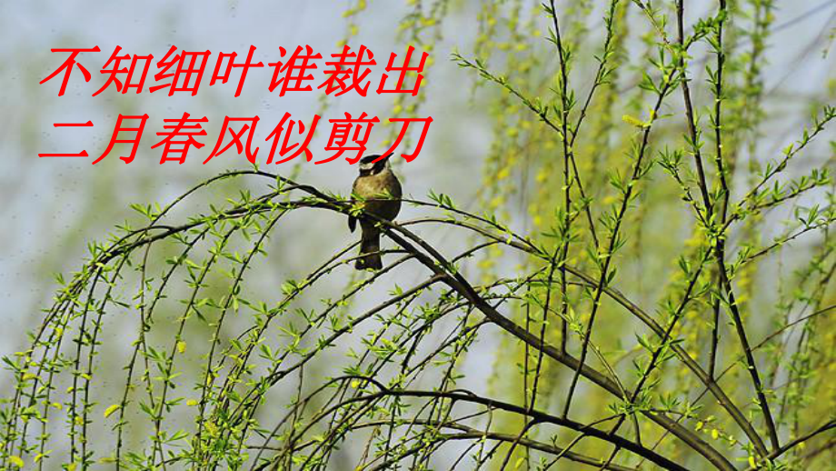 部编版芙蓉楼送辛渐优秀课件.pptx_第2页