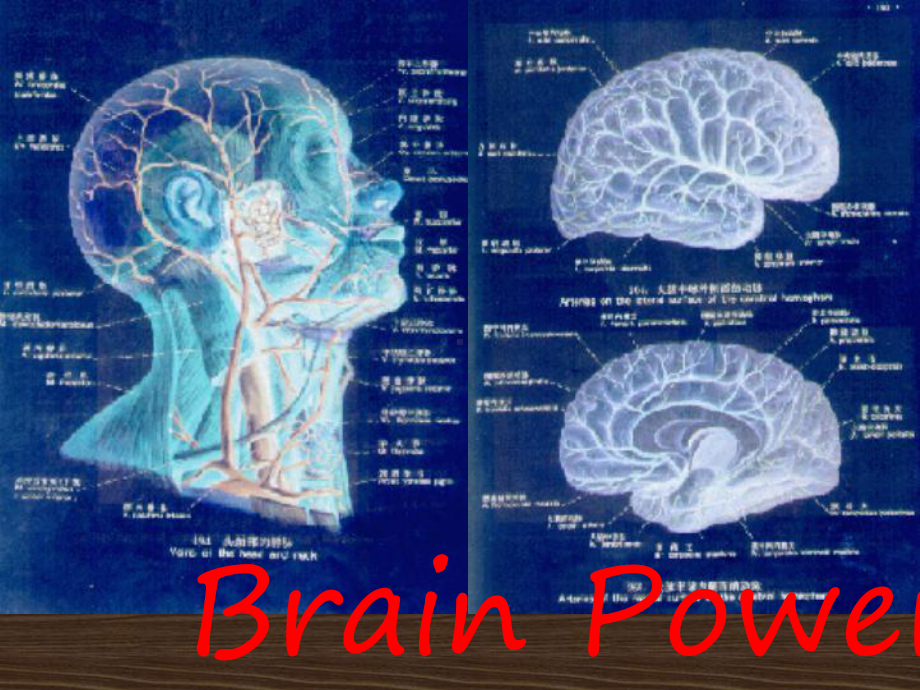 英语北师大版选修7Unit21Lesson2《BrainPower》1课件.ppt（纯ppt,可能不含音视频素材）_第1页