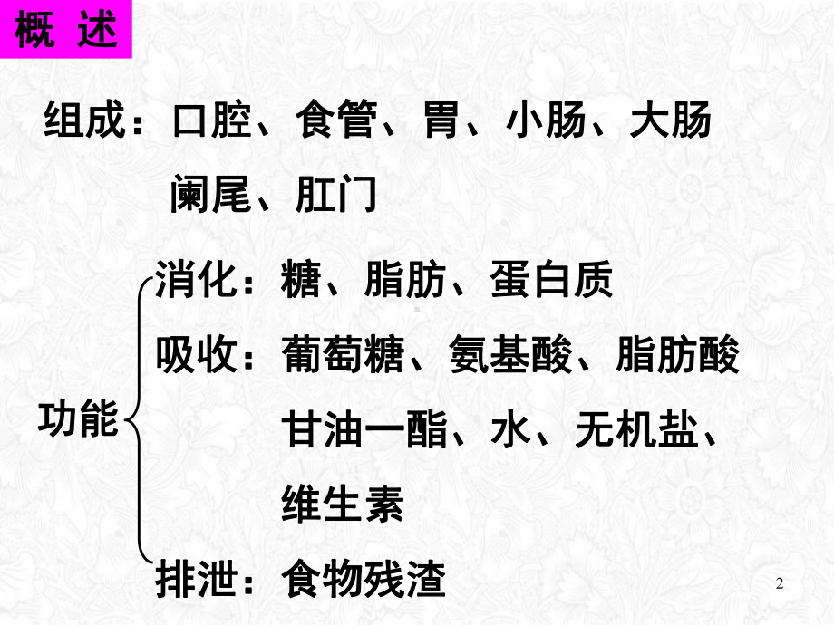 组织学与胚胎学消化管课件.pptx_第2页