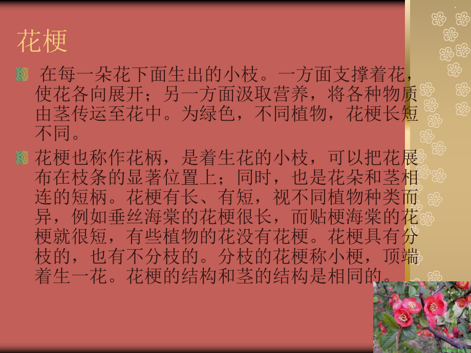 花的组成部分与形态-课件.ppt_第3页