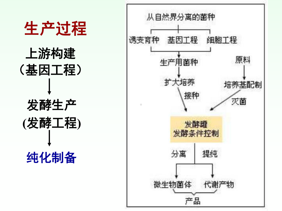 蛋白质类药物的分离纯课件.ppt_第2页