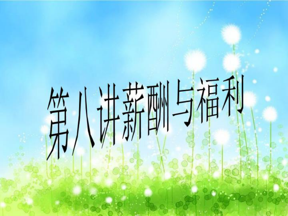 第八讲薪酬与福利课件.ppt_第1页