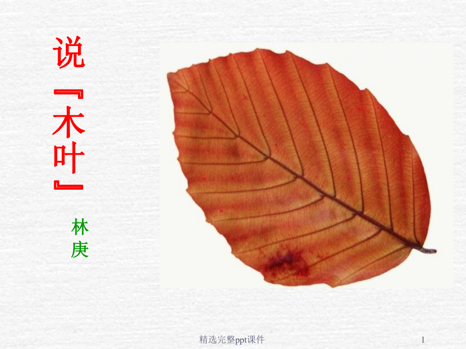 说木叶课件(实用).ppt_第1页