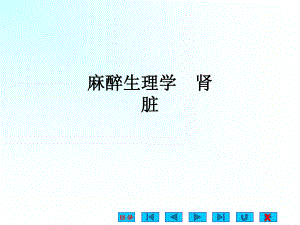 麻醉生理学-肾脏课件.ppt